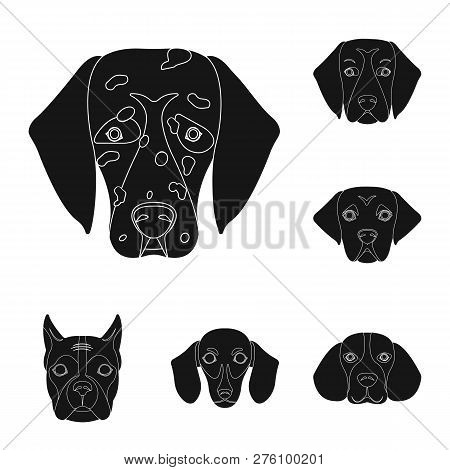 Vector Design Of Cute And Puppy Logo. Set Of Cute And Animal Stock Symbol For Web.