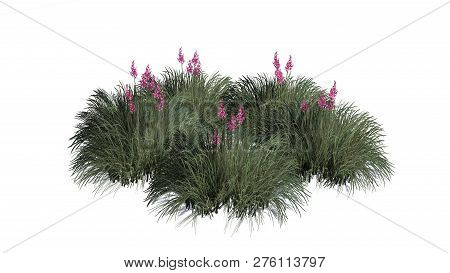 Red Yucca Cluster With Shadow - Isolated On White Background - 3d Illustration