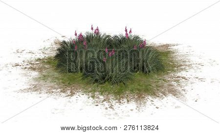 Red Yucca Cluster On A Green Area - Isolated On White Background - 3d Illustration