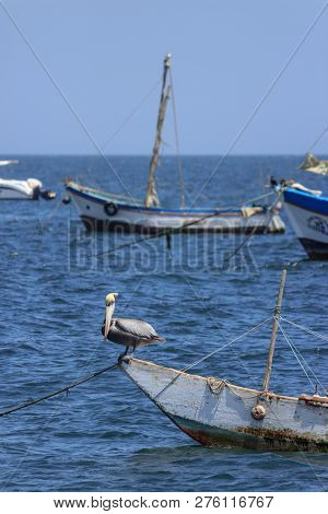 Fisher Boats In The Harbor Of Mancora, Peru