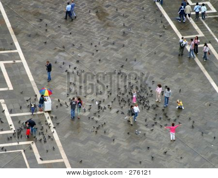 San Marco Piazza de güvercin