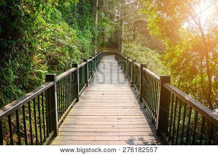 Wooden Pathway Or Wooden Bridge Among The Tree In Tropical Forest With Sunset Background, Concept Th