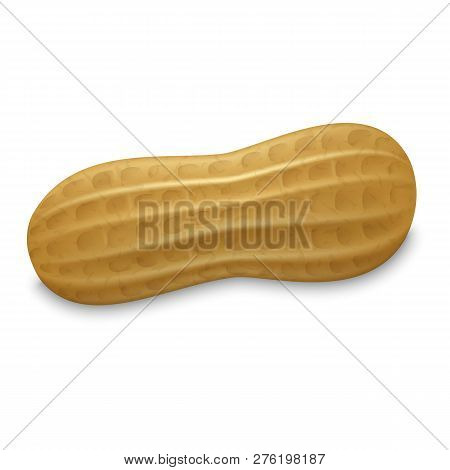 Peanut Whole Shell Icon. Realistic Illustration Of Peanut Whole Shell Icon For Web Design