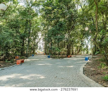 Square Surrounded By Tall Trees, Some Benches To Seat On Downtown Of Londrina City. Bosque Marechal 
