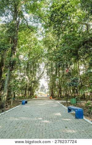 Square Surrounded By Tall Trees, Some Benches To Seat On Downtown Of Londrina City. Bosque Marechal 