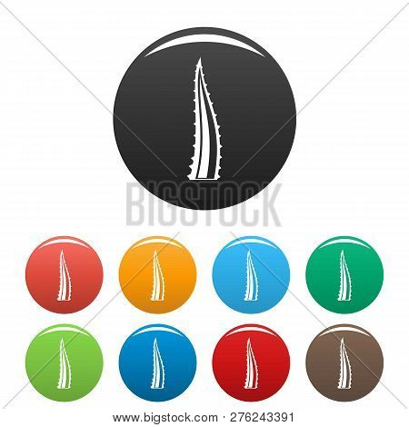 Aloe Part Icons Set 9 Color Vector Isolated On White For Any Design