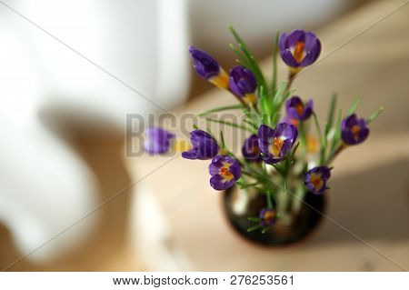 Purple Flowers On A Wooden Table, Flat Lay