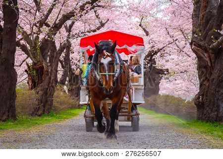 Iwate , Japan - April 22 2018: A Horse Carriage Carry A Group Of Tourists Rolls Through The Tunnel O