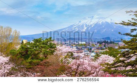 Hirosaki, Japan - April 23 2018: Full Bloom Sakura - Cherry Blossom  At Hirosaki Park, One Of The Mo