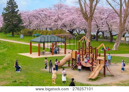 Iwate , Japan - April 22 2018: Kitakami Tenshochi Park Located By The Kitakami River, Renowned As On