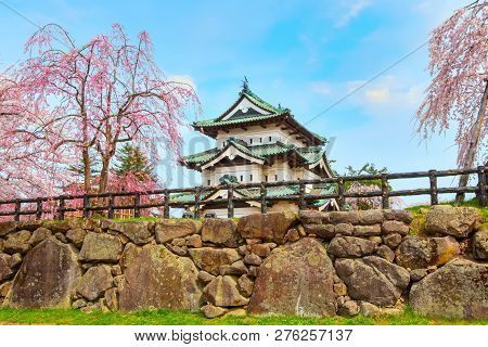 Hirosaki, Japan - April 23 2018: Sakura - Cherry Blossom Full Bloom At Hirosaki Castle In Hirosaki P