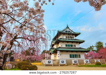Hirosaki, Japan - April 23 2018: Sakura - Cherry Blossom Full Bloom At Hirosaki Castle In Hirosaki P