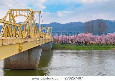 Iwate , Japan - April 22 2018: Kitakami Tenshochi Park Located By The Kitakami River, Renowned As On