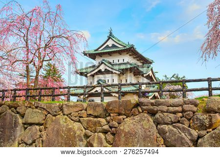 Hirosaki, Japan - April 23 2018: Sakura - Cherry Blossom Full Bloom At Hirosaki Castle In Hirosaki P
