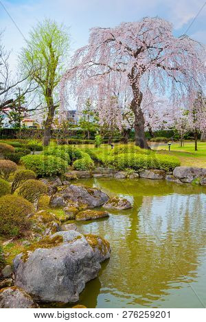 Hirosaki, Japan - April 23 2018: The Fujita Memorial Japanese Garden Built In 1919 In Japanese Tradi