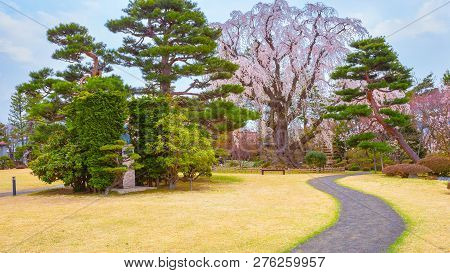 Hirosaki, Japan - April 23 2018: The Fujita Memorial Japanese Garden Built In 1919 In Japanese Tradi