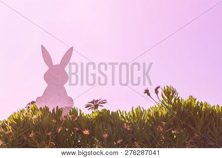 Creative Easter Photo Of Silhouette  Paper Rabbit In The Chamomile Flowers And Green Grass On The Su