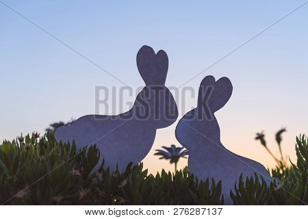 Creative  Photo Of Two Silhouette Paper Rabbits In The Chamomile Flowers And Green Grass On The Suns