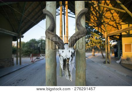 Park Gate In Africa , Ideal Place For African Safari.