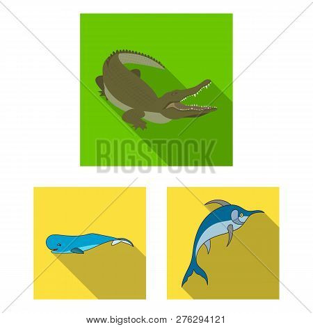Vector Illustration Of Water And Drop Sign. Collection Of Water And Splash Vector Icon For Stock.