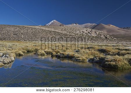 Frozen Pools In A Wetland Along A Tributary Of The River Lauca High On The Altiplano Of Northern Chi