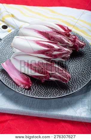 Group Of Fresh Red Radicchio Chicory Or Belgian Endive Vegetables, Also Known As Witlof Salade