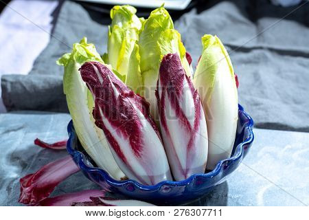 Group Of Fresh Green Belgian Endive Or Chicory And Red Radicchio Vegetables, Also Known As Witlof Sa