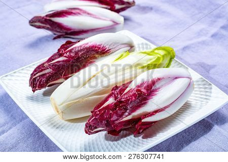 Group Of Fresh Green Belgian Endive Or Chicory And Red Radicchio Vegetables, Also Known As Witlof Sa