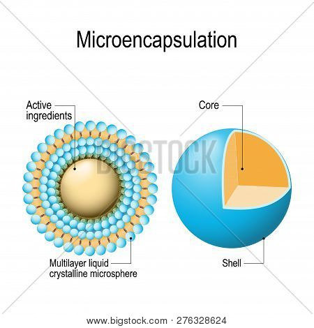 Microencapsulation Mechanism. Tiny Particles (droplets) Of Active Ingredients Are Surrounded By A Co