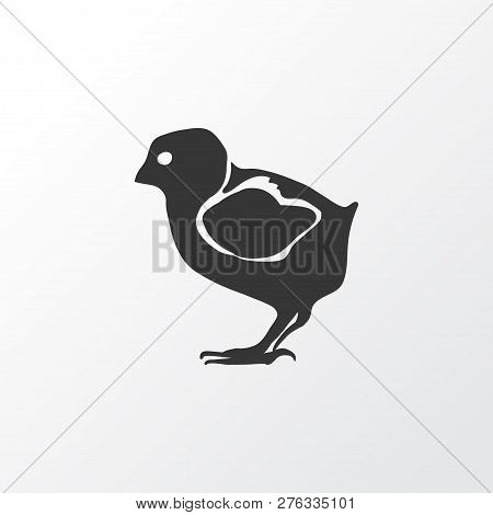 Little Chicken Icon Symbol. Premium Quality Isolated Bird Element In Trendy Style.