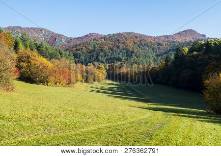 Colorful Slovakian Forest In Autumn (strazov Mountains, Slovakia)