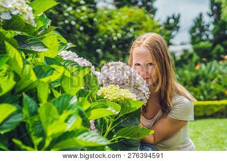 Young Woman On The Background Of Light Pink Hydrangea Blooming In The Garden