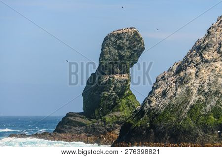 Telephoto Shot Of The Rocky Coast Of The Shag Rocks. These Rocks Are Six Small, Uninhabited, Islands