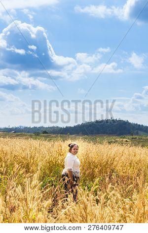 The Girl Is Traveling In The Grass Field Desho Grass