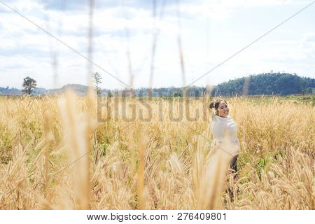 The Girl Is Traveling In The Grass Field Desho Grass