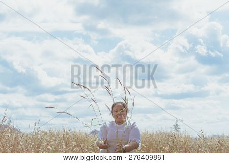 The Girl Is Traveling In The Grass Field Desho Grass