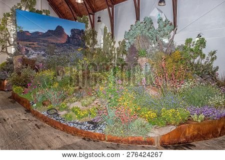 Clanwilliam, South Africa, August 28, 2018: The Yearly Wild Flower Show Inside The Historic First Du