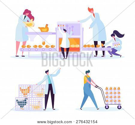 Chicken Poultry Egg Production Farm Line Set. Worker Character Processing Machinery Packing At Manuf