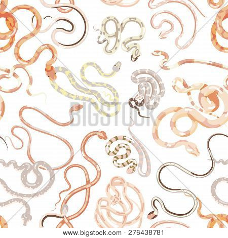 Seamless Pattern With Various Exotic Snakes On White Background. Backdrop With Tropical Carnivorous 