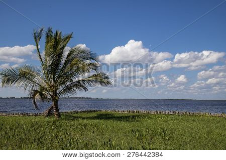 Beautiful Day View Of Water And Palm In Laguna Del Tesoro, Cuba
