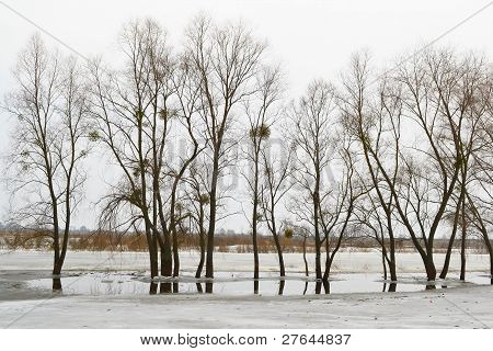 Vista del fiume Kopanets