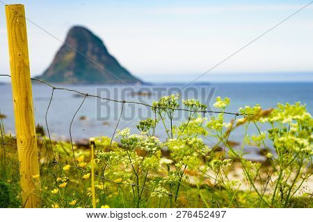Seascape, Sea Coast With Sandy Beach And Island Bleiksoya In The Distance, Resort Bleik Andoya Norwa