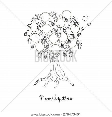 Family Tree Monochrome Sketch. Thin Black Line Graphic Design Element On White Design Element Stock 