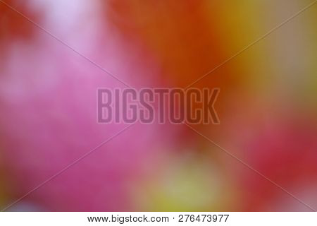Colorful Background Soft Multi Color Style Abstract Blurred Pink Red Yellow Gold Green, Rainbow Brig