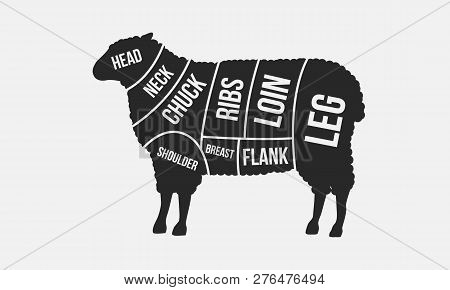 Meat Cuts. Cuts Of Mutton. Sheep Silhouette Isolated On White Background. Vintage Poster For Butcher