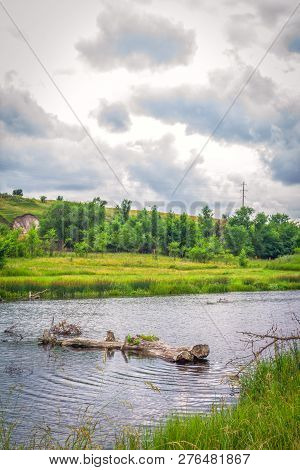 Summer Landscape With Forest And River, Dry Log - Cut Tree Trunk In A Water, Green Trees, Grass, Bul