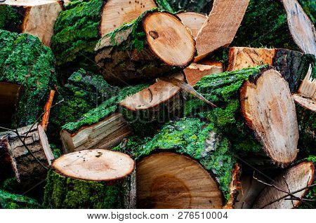 Stack Of Sawn Logs. Woodpile Of Freshly Harvested Pine Logs On A Forest. Trunks Of Trees Cut And Sta