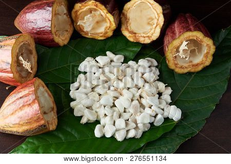 Raw Cacao Chocoalte Fruits. White Beans Of Cocoa On Green Leafs