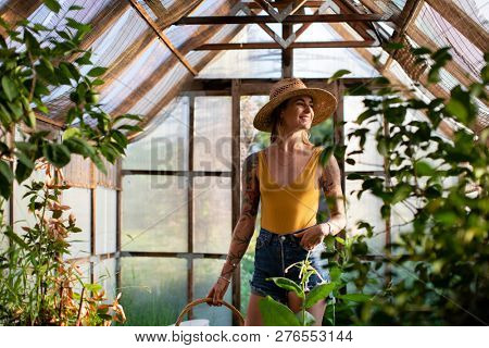Beautiful woman in a greenhouse