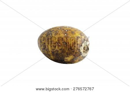 Hog Plum Spondias Pinnata Forest Fruit (makok Thai Word) Isolated On White Background Closeup